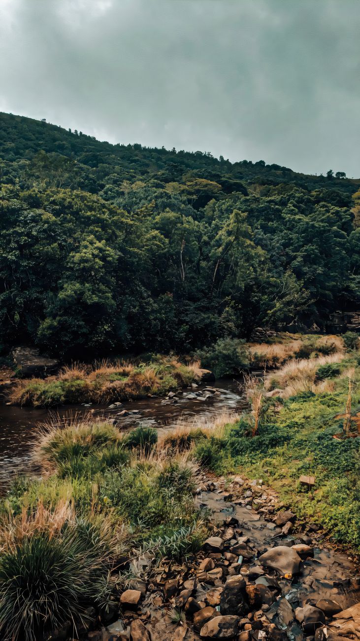 Skaists skats uz Glenmalure dabas ieleju un upi